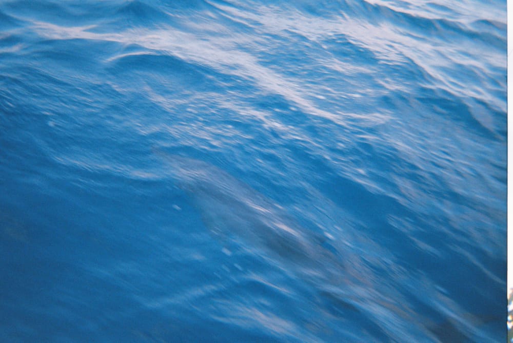 Deep blue open ocean swell